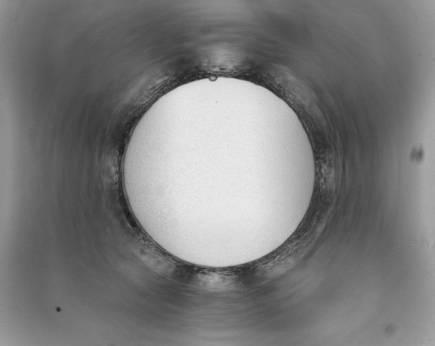 X0000090740561200708101705