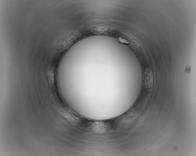 X0000090740562200708101705