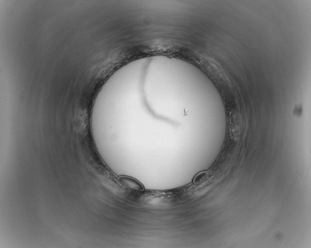 X0000090740563200708101705