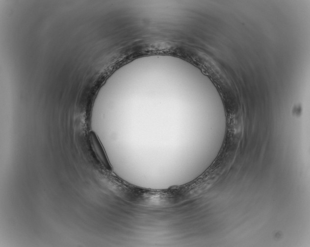 X0000090740564200708101705