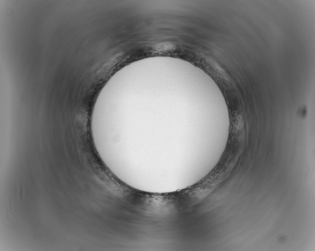 X0000090740565200708101705