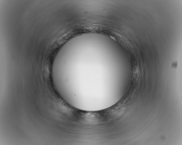 X0000090740566200708101705