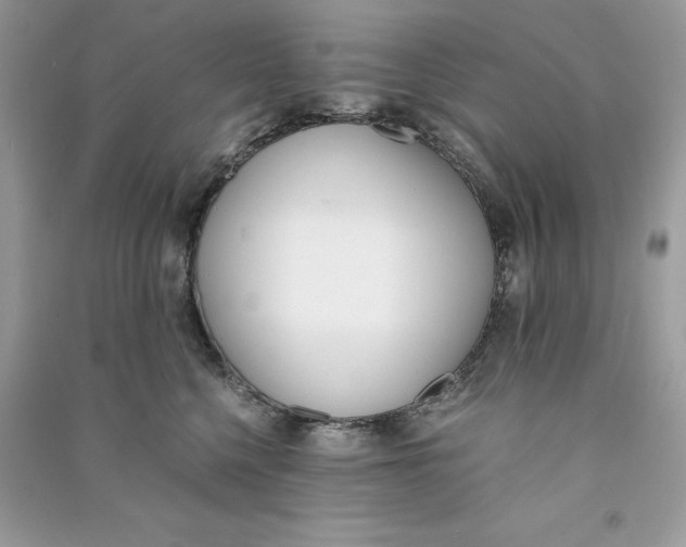 X0000090740568200708101705