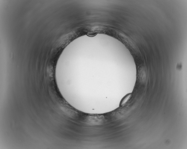 X0000090740571200708101705