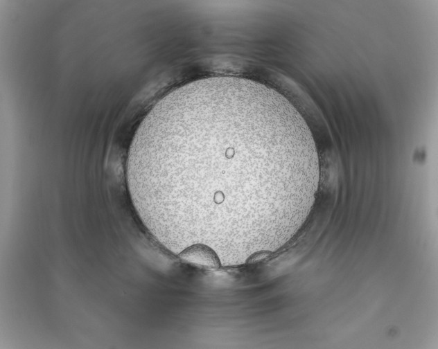 X0000090740573200708101705