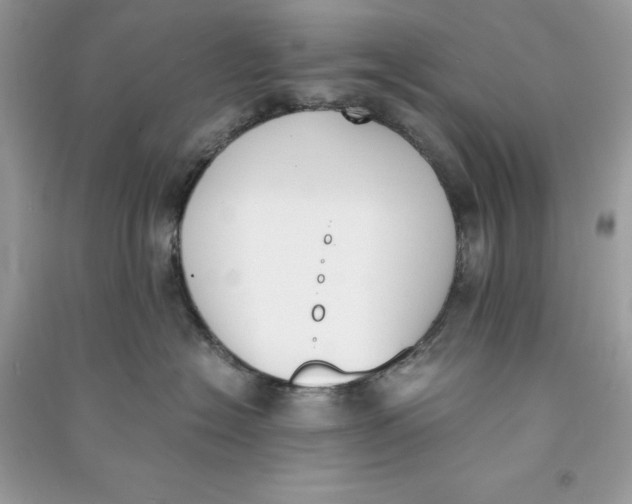 X0000090740574200708101705