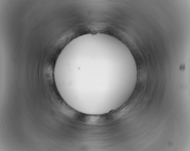 X0000090740575200708101705