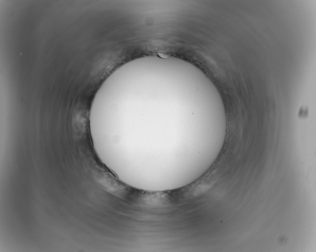 X0000090740576200708101705