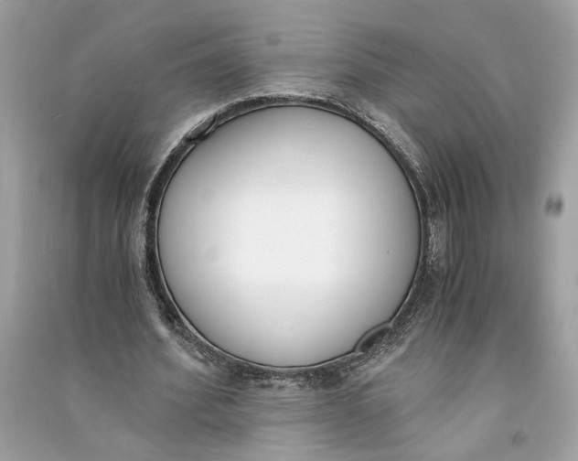 X0000090740580200708101704