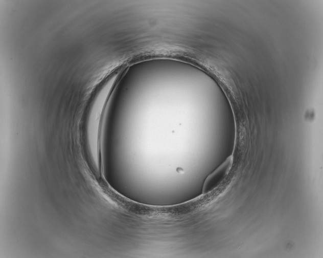 X0000090740581200708101704