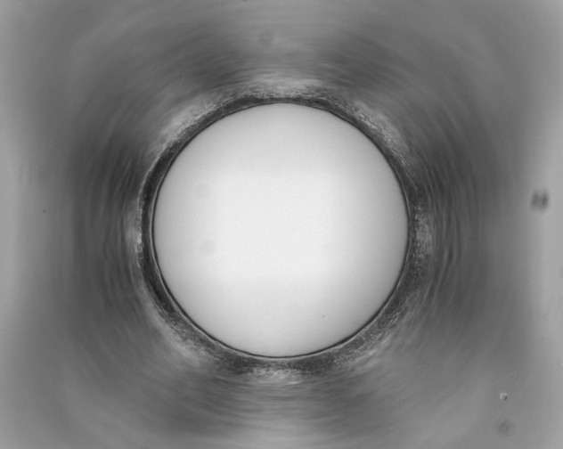 X0000090740582200708101704