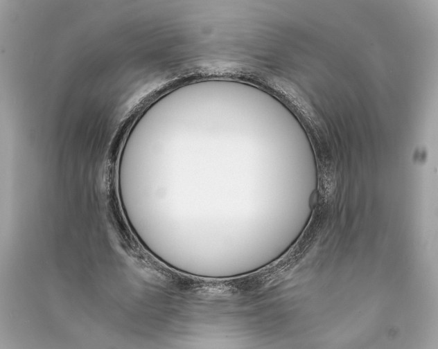 X0000090740583200708101704