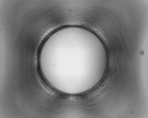 X0000090740584200708101704