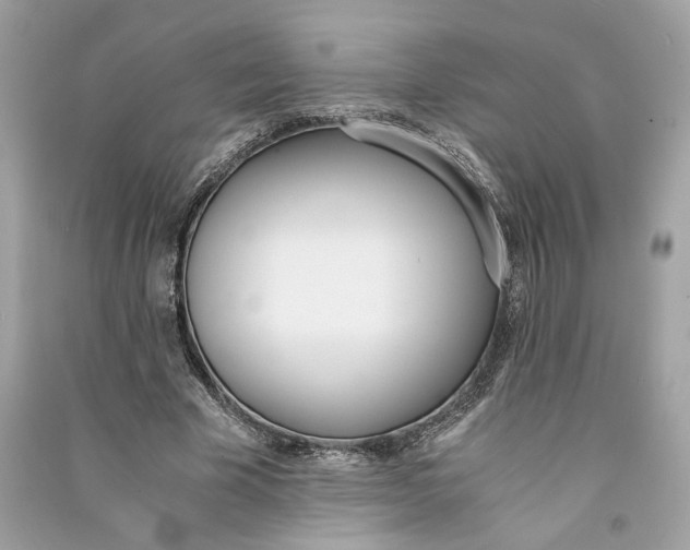 X0000090740585200708101704