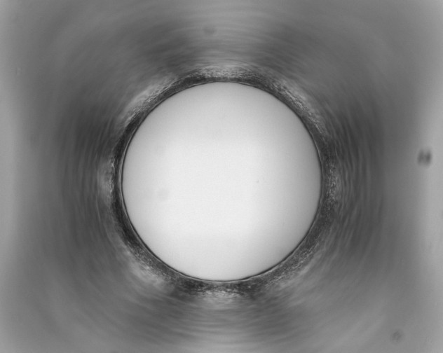 X0000090740586200708101704