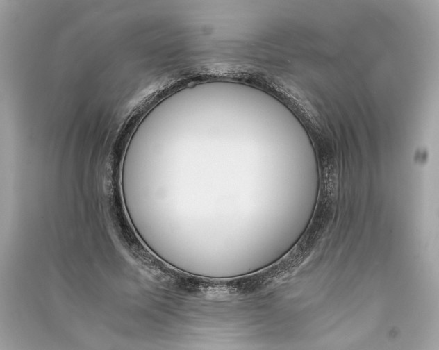 X0000090740587200708101704