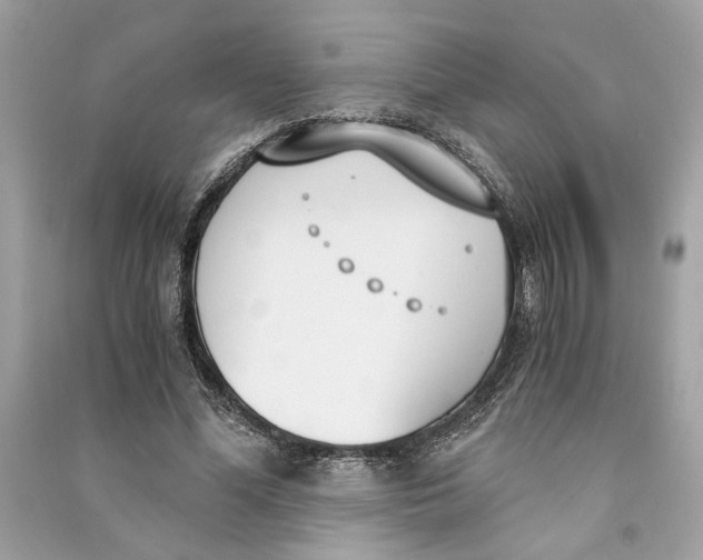 X0000090740588200708101704