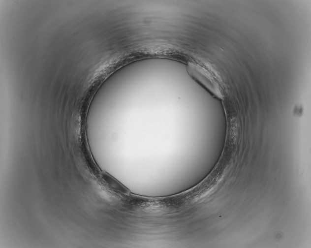 X0000090740589200708101704