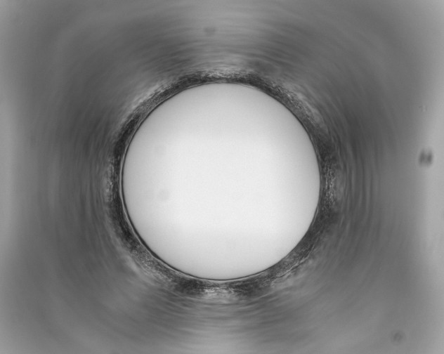 X0000090740591200708101704