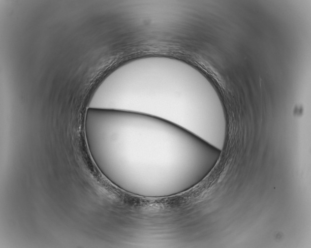 X0000090740593200708101704