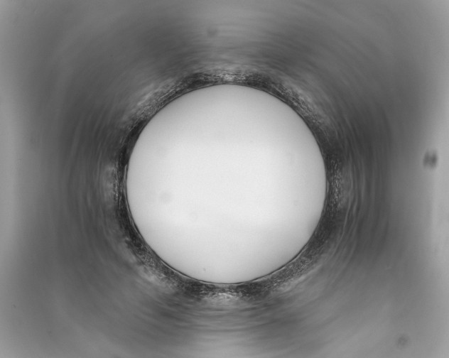 X0000090740594200708101704