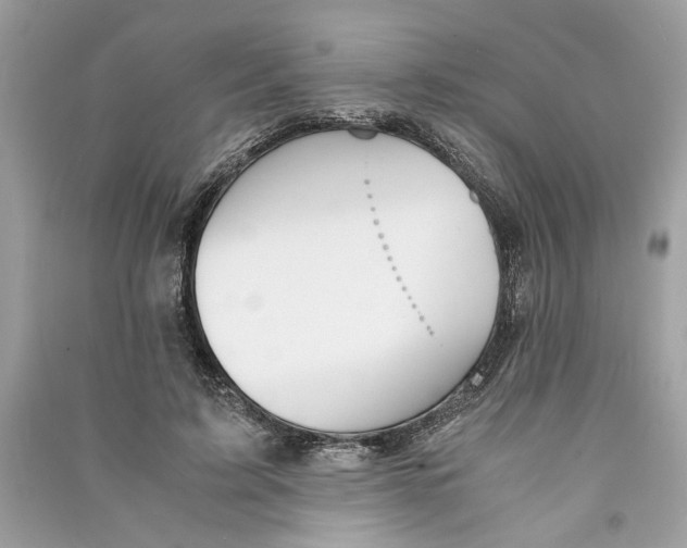 X0000090740595200708101704