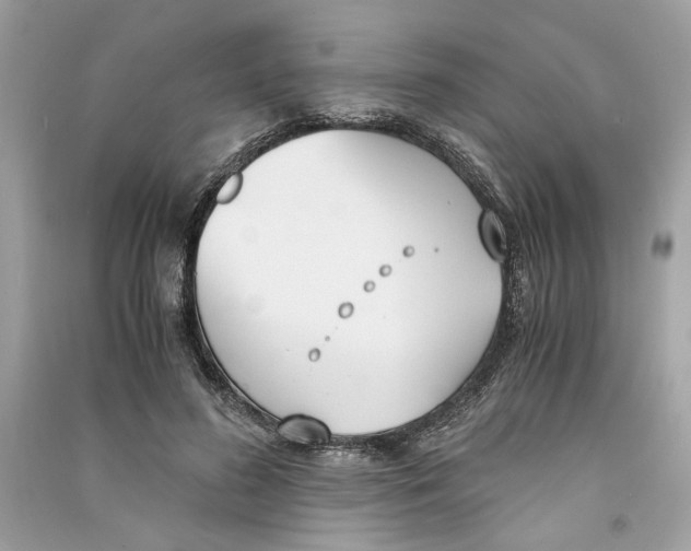 X0000090740596200708101704