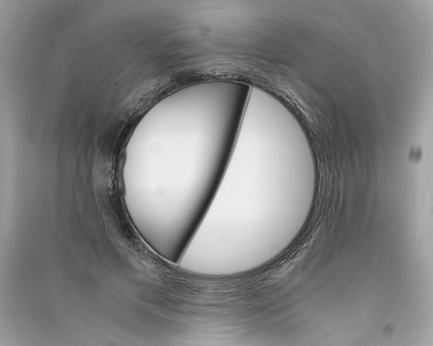 X0000090740597200708101704