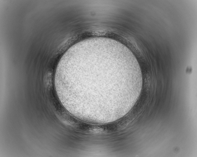 X0000090740598200708101704