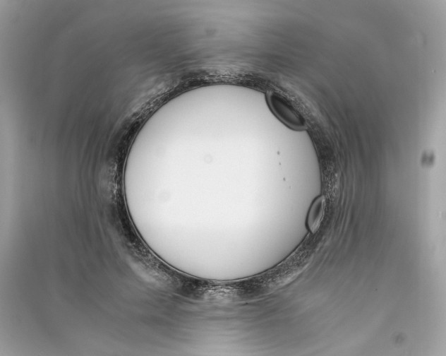 X0000090740599200708101704