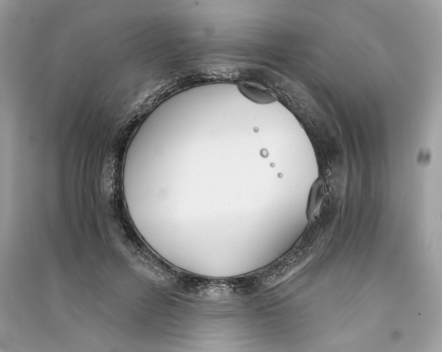 X0000090740600200708101704