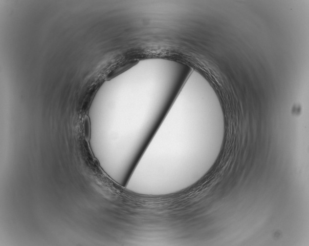 X0000090740601200708101704