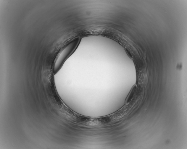 X0000090740604200708101704