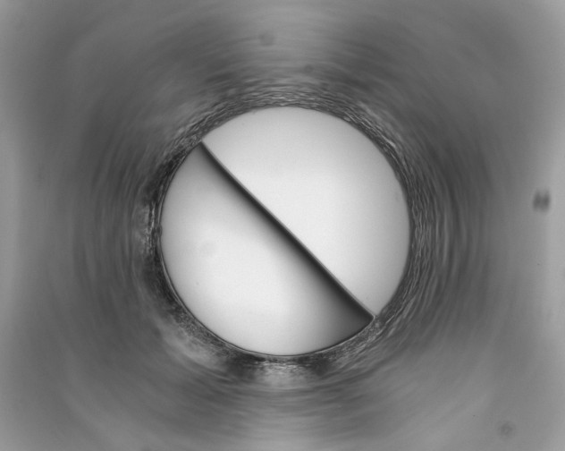 X0000090740605200708101704