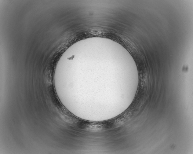 X0000090740606200708101704