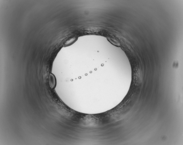 X0000090740608200708101704