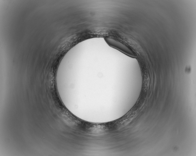 X0000090740609200708101704