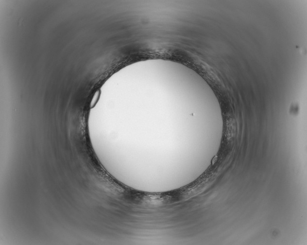 X0000090740613200708101704