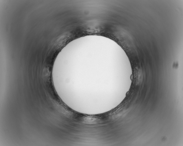 X0000090740614200708101704