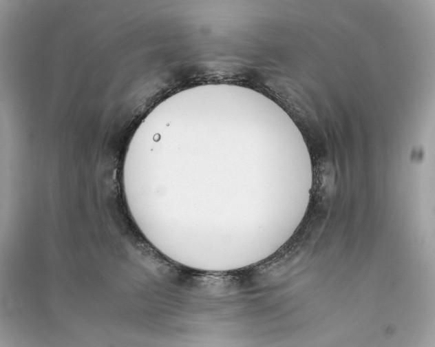 X0000090740615200708101704