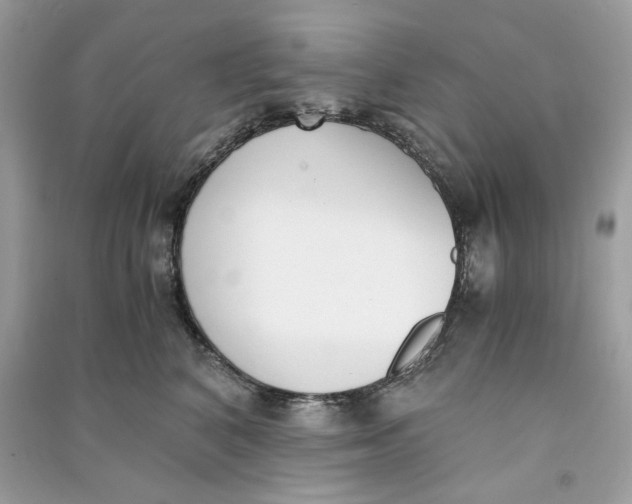 X0000090740616200708101704