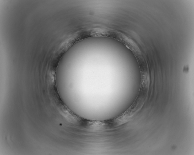 X0000090740621200708101704