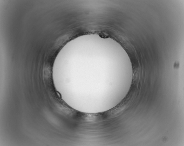 X0000090740623200708101704