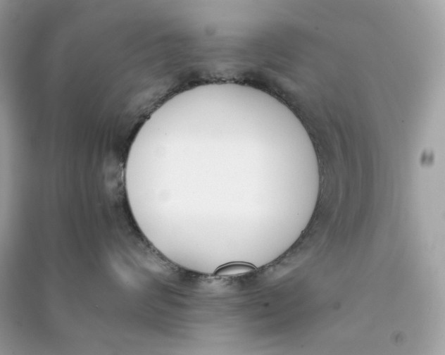 X0000090740624200708101704