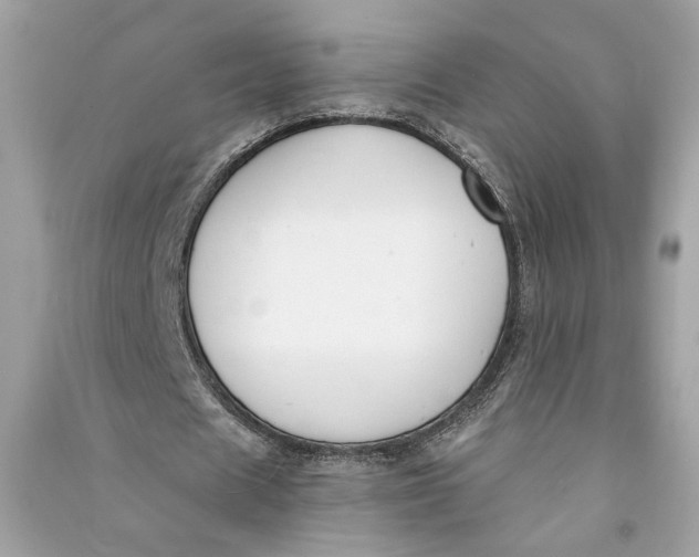 X0000090740625200708101703