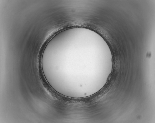 X0000090740626200708101703