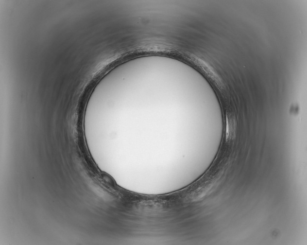 X0000090740627200708101703