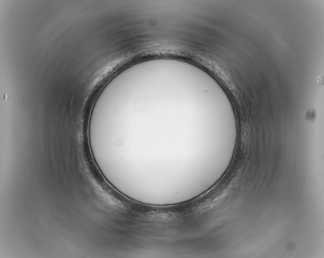 X0000090740629200708101703