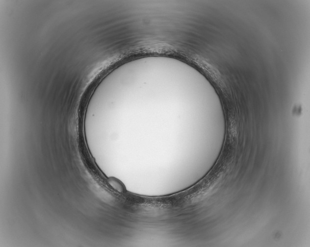 X0000090740630200708101703