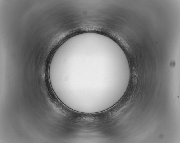 X0000090740631200708101703